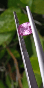 Pink Sapphire